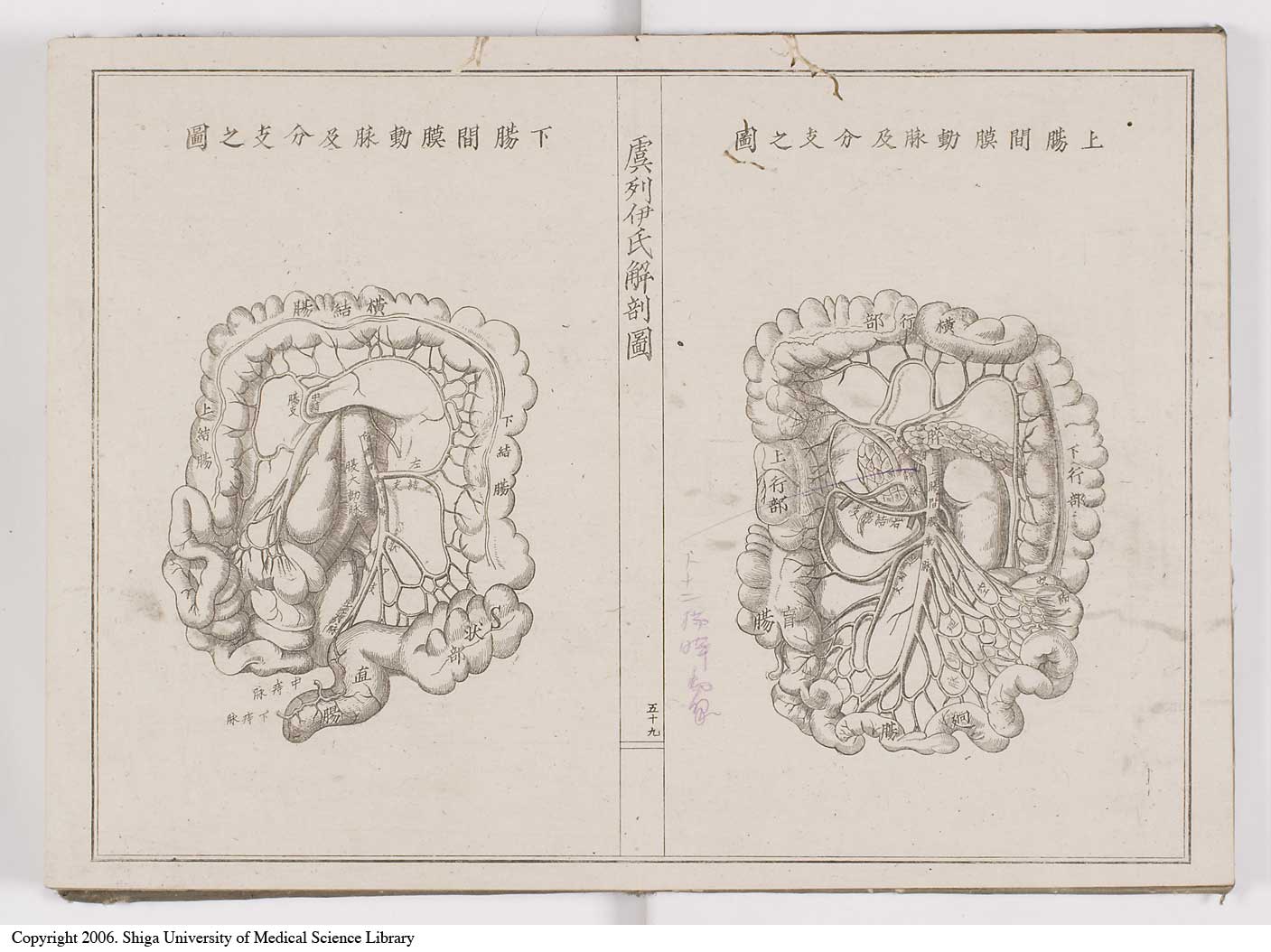 K0036l0066