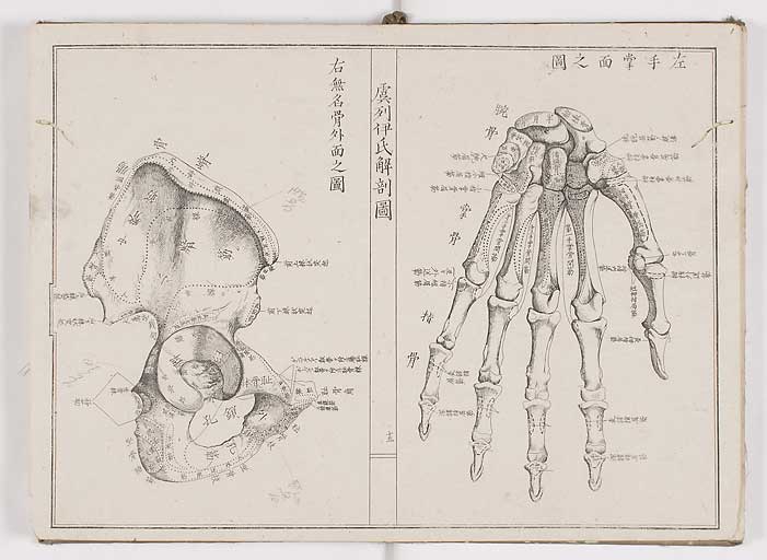 K0036s0018