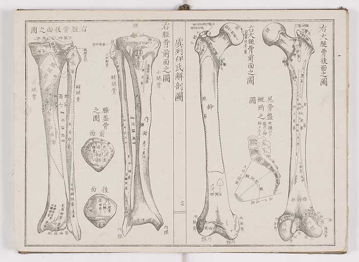 K0036s0020