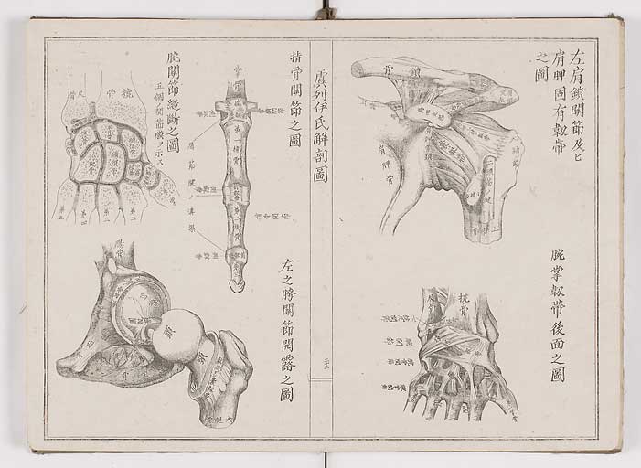 K0036s0026