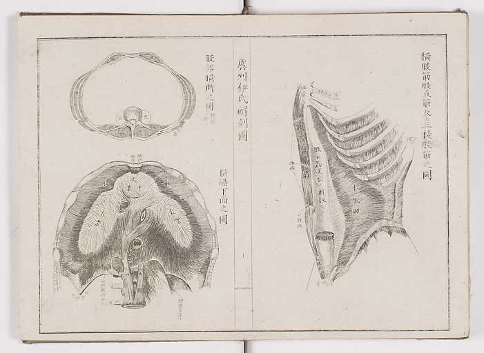 K0036s0035