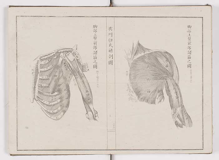 K0036s0036