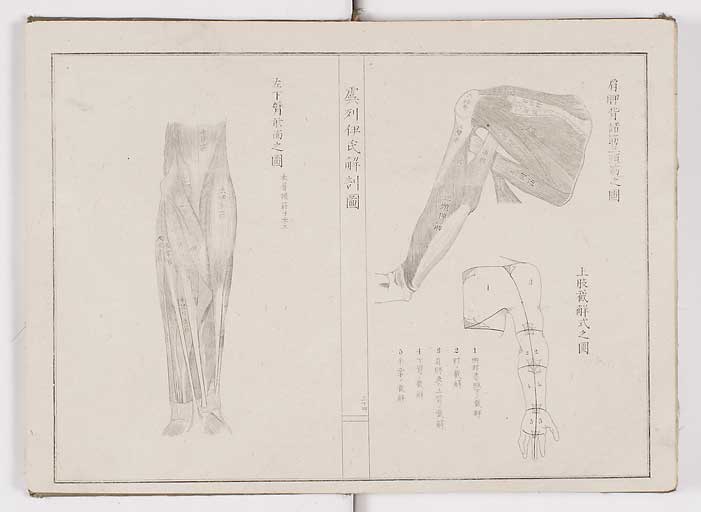K0036s0037