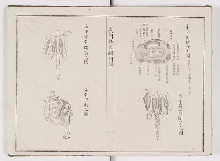 K0036s0040