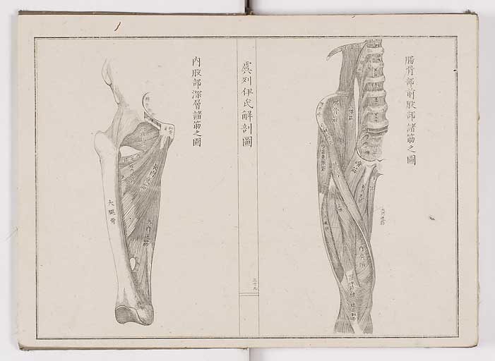 K0036s0042