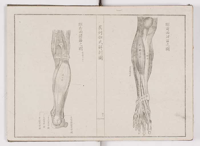 K0036s0044