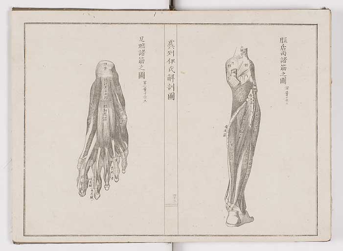 K0036s0045