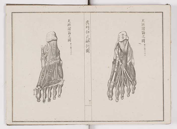 K0036s0046