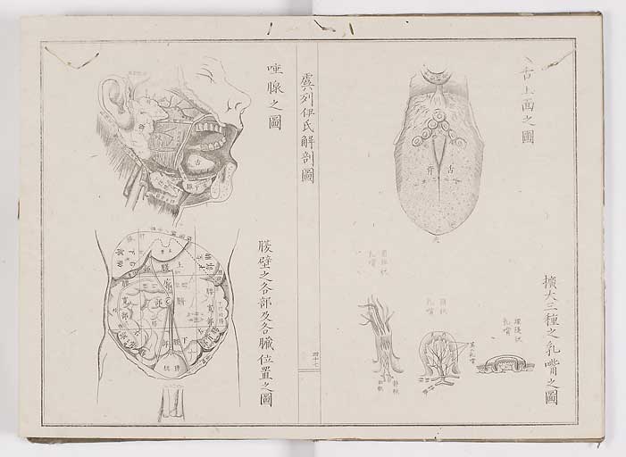 K0036s0054