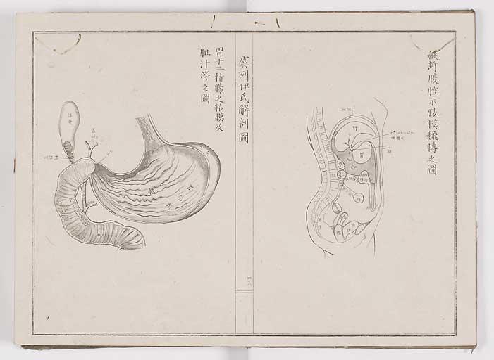 K0036s0055