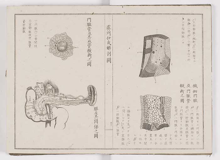 K0036s0058