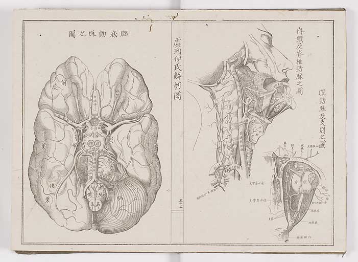 K0036s0062