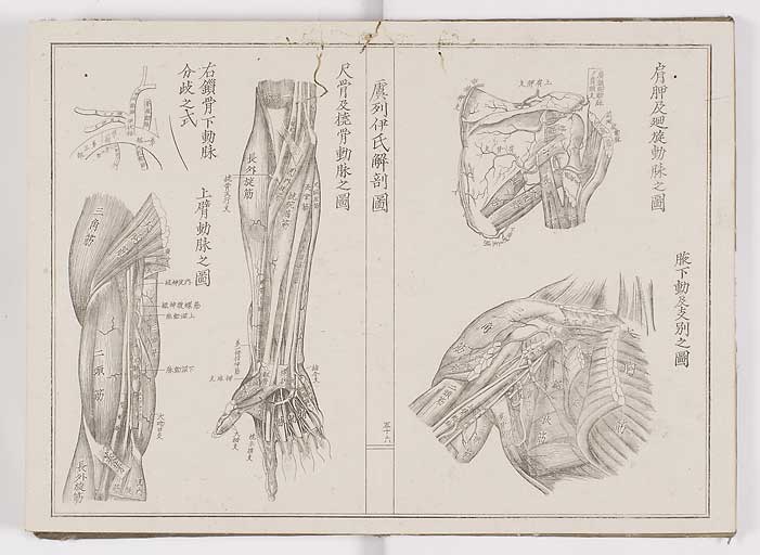 K0036s0063