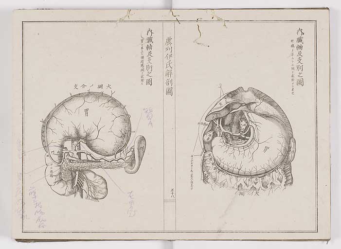 K0036s0065