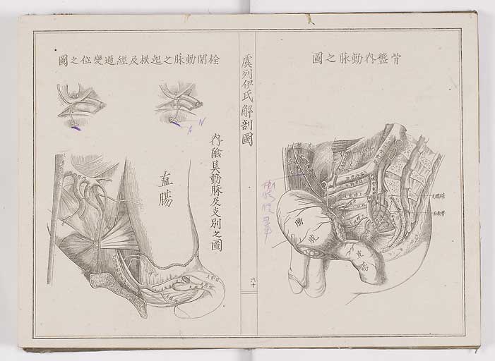 K0036s0067