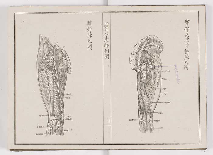 K0036s0068