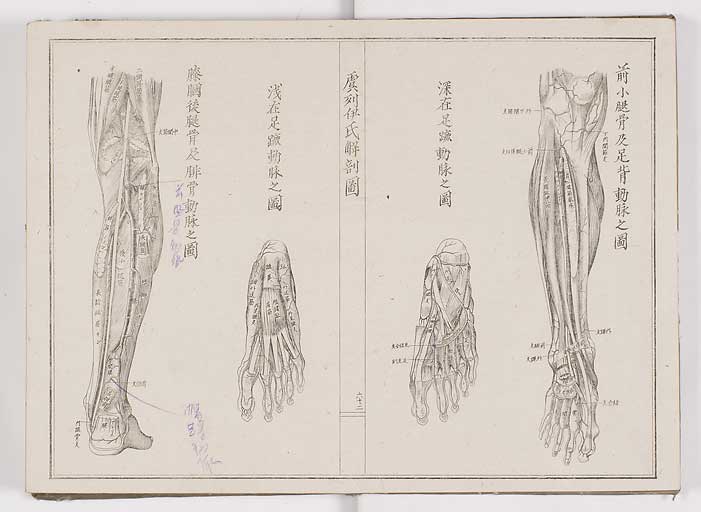 K0036s0069