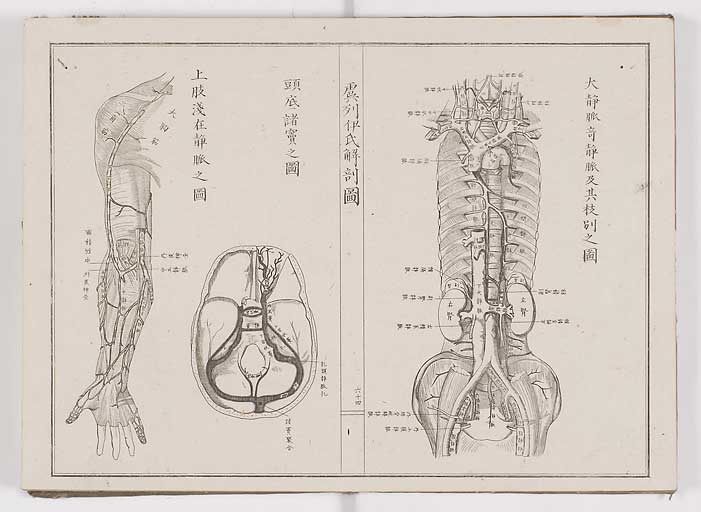 K0036s0071