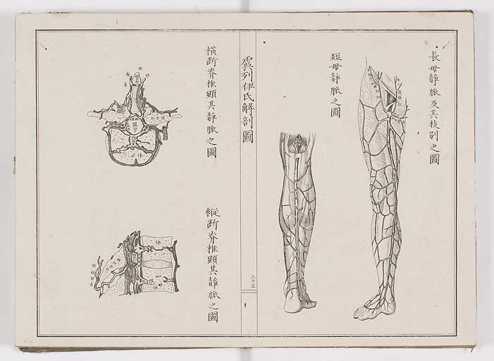 K0036s0072