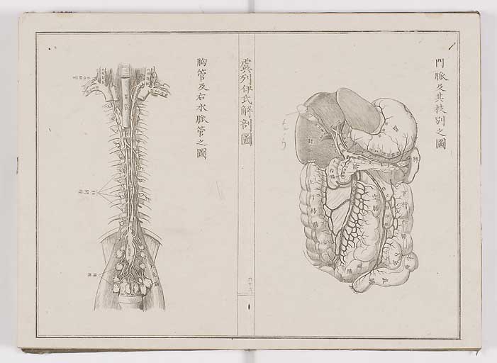 K0036s0073