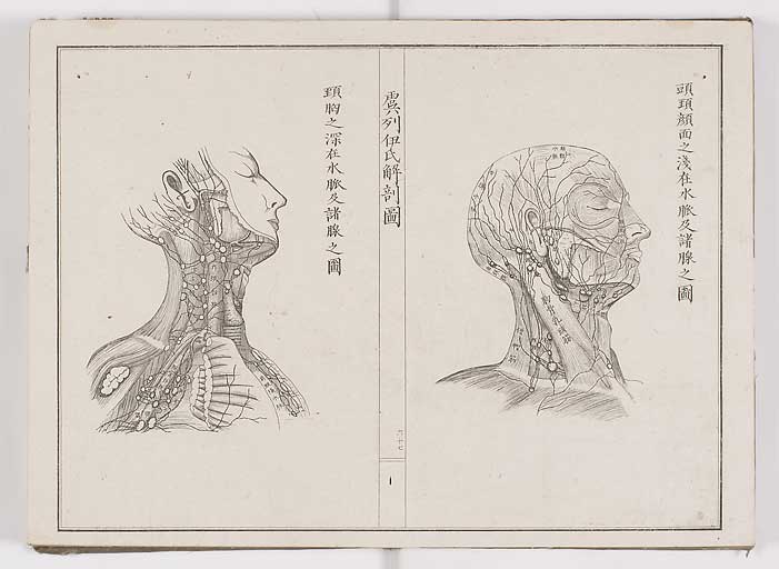 K0036s0074