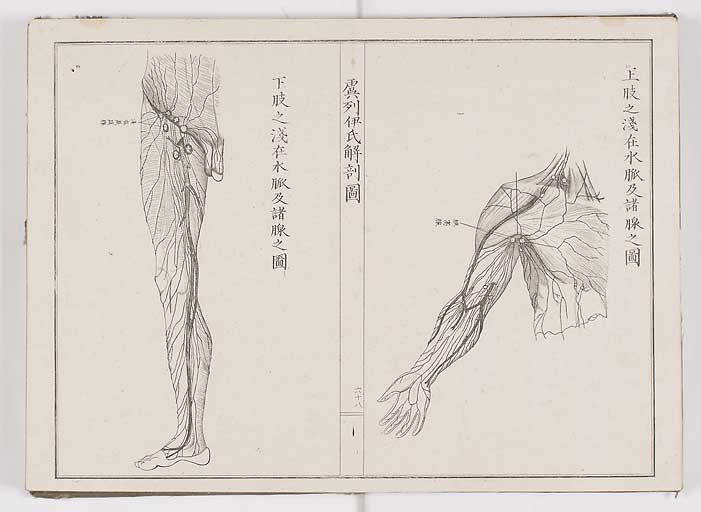 K0036s0075