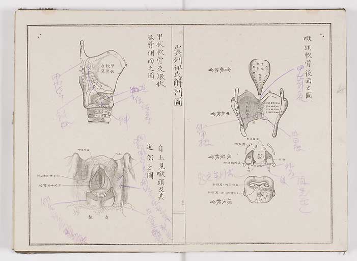 K0036s0077