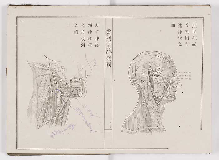 K0036s0092