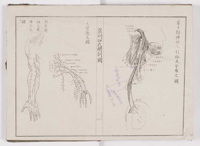 K0036s0094