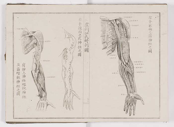 K0036s0095