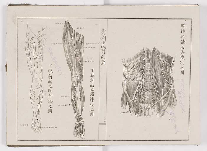 K0036s0096