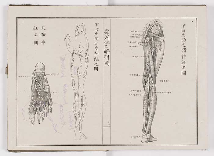 K0036s0097