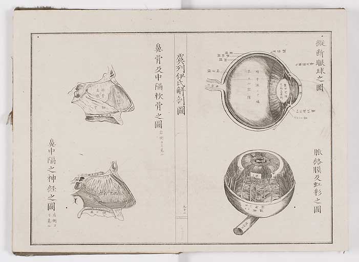 K0036s0099
