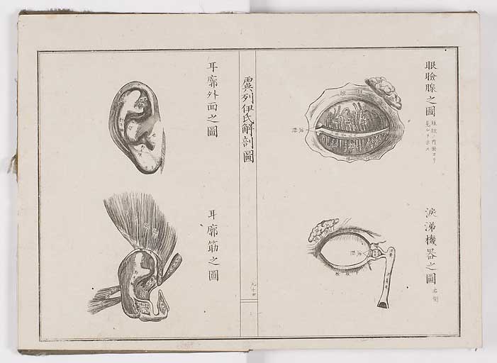 K0036s0101