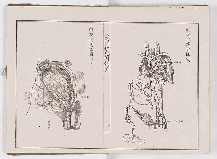 K0036s0104