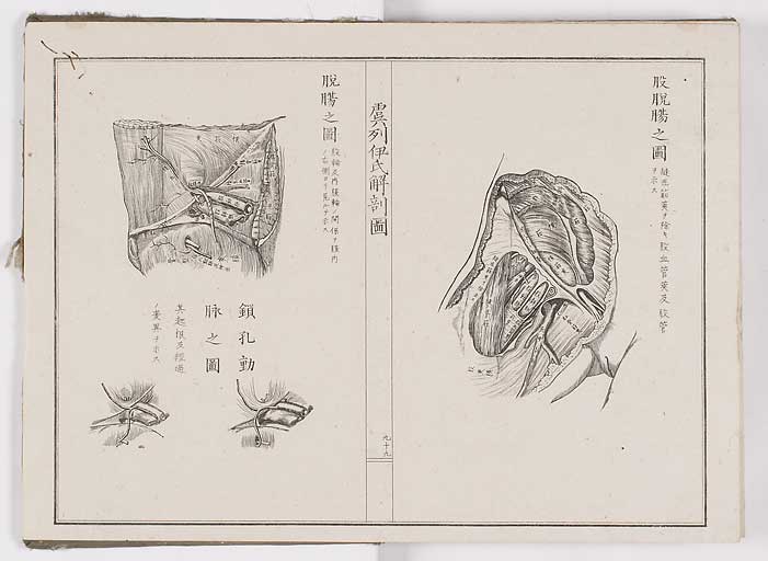K0036s0106