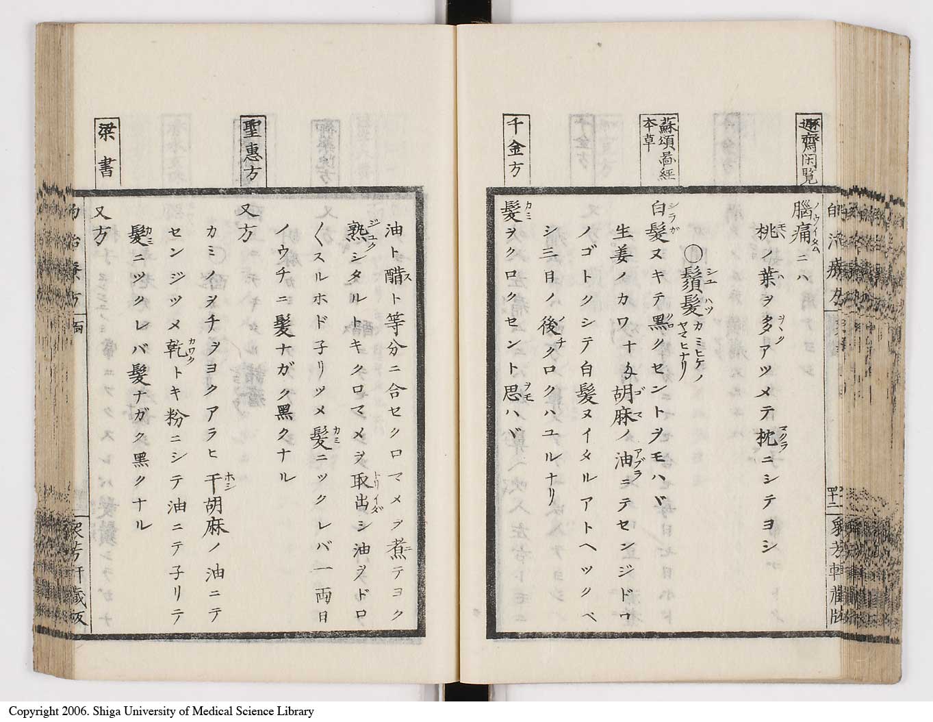 K0038l0055