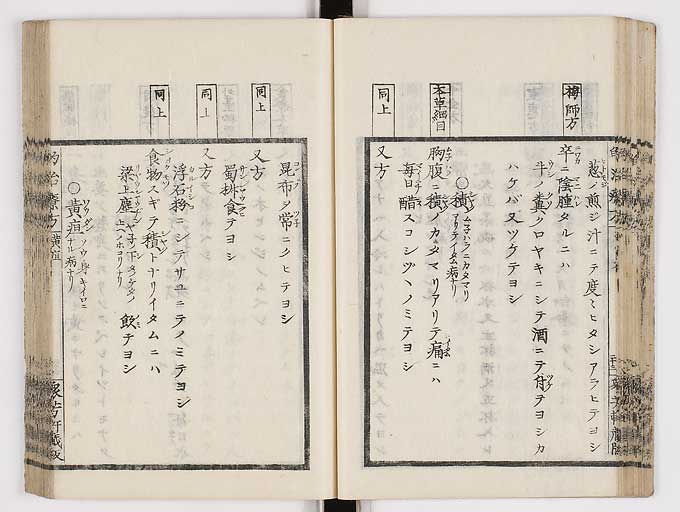 K0038s0036