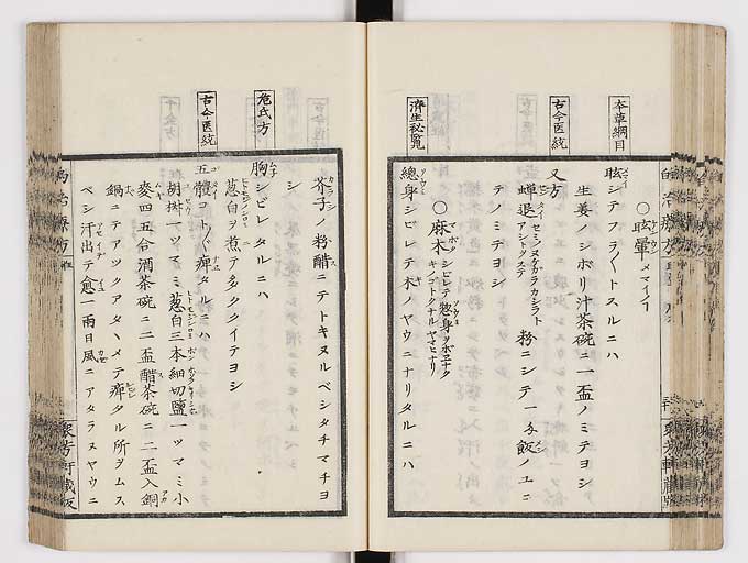 K0038s0043