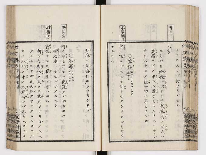 K0038s0046