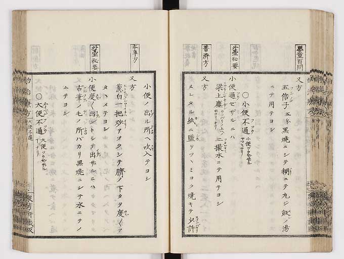 K0038s0050