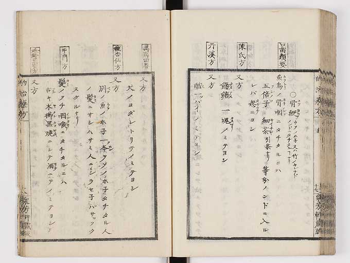 K0038s0099