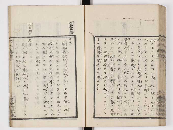 K0038s0101