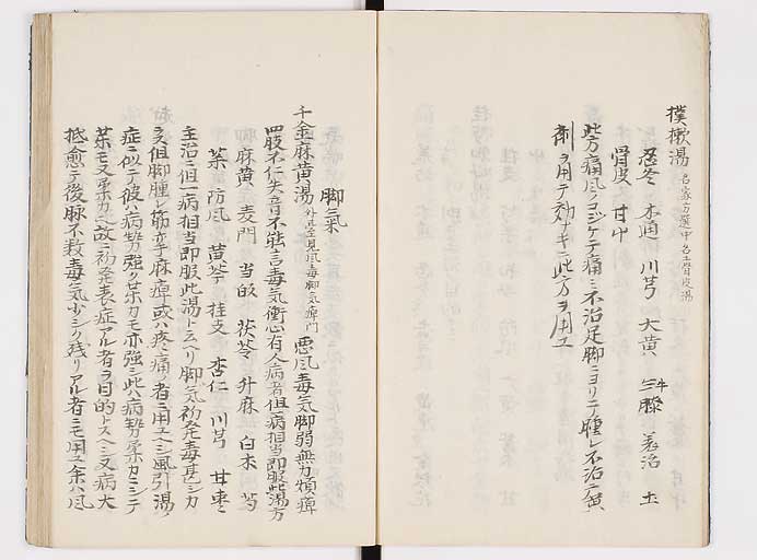 K0039s0010