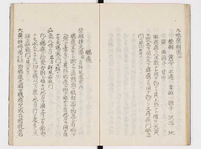 K0039s0038