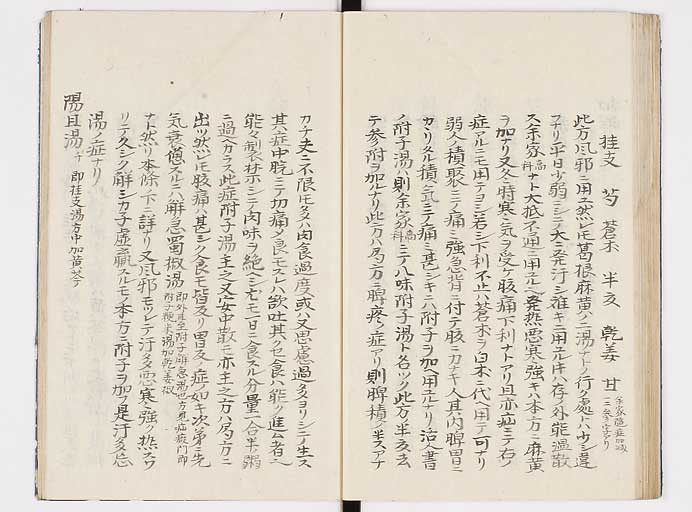 K0039s0060
