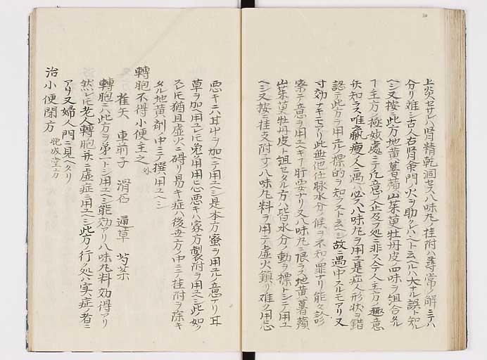 K0039s0065