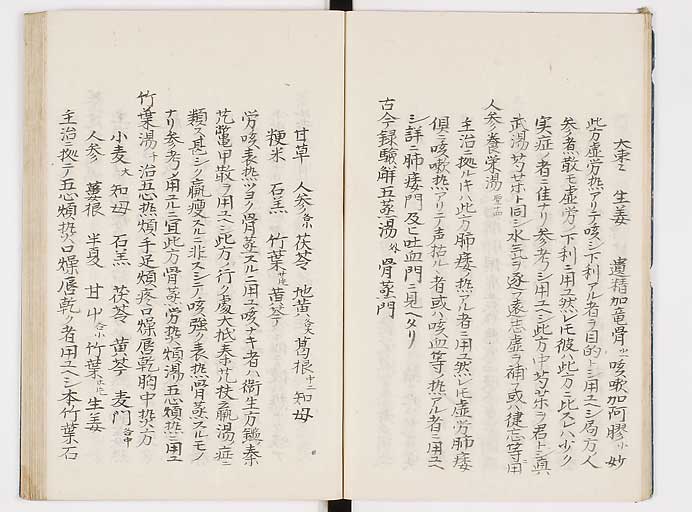 K0039s0100