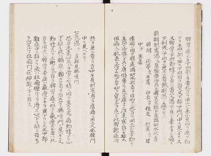 K0039s0131