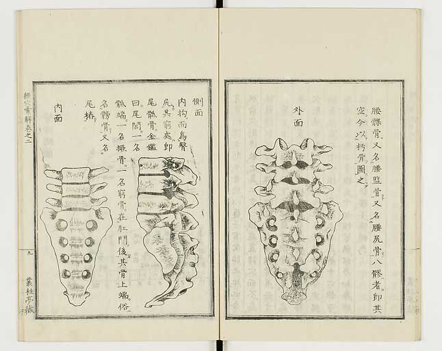 K0040s0067